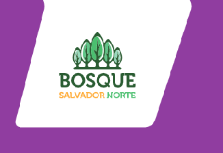 Bpsque Salvador Norte